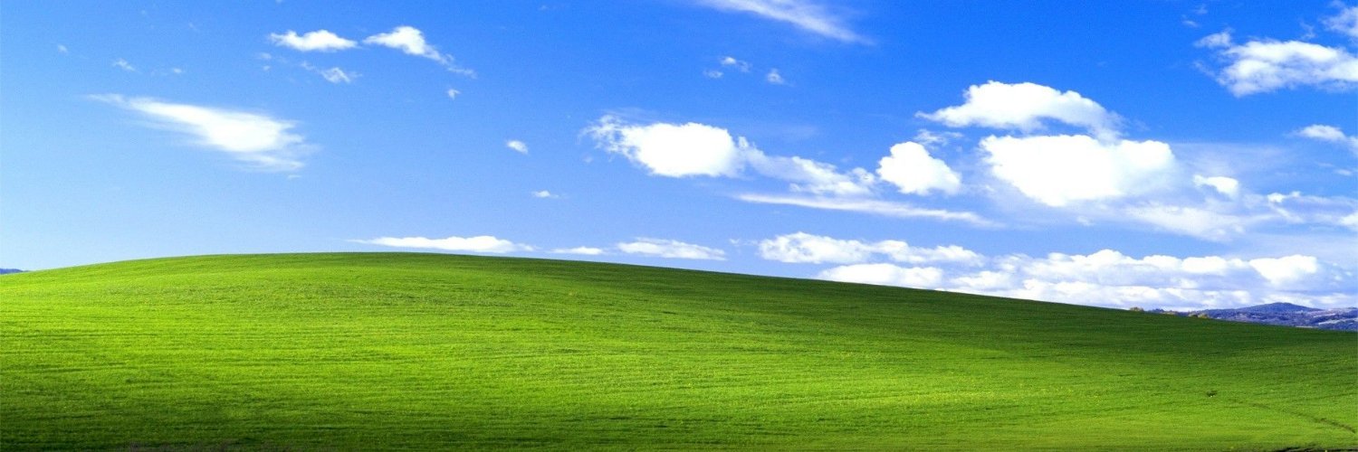 AliceSwelly's profile banner image