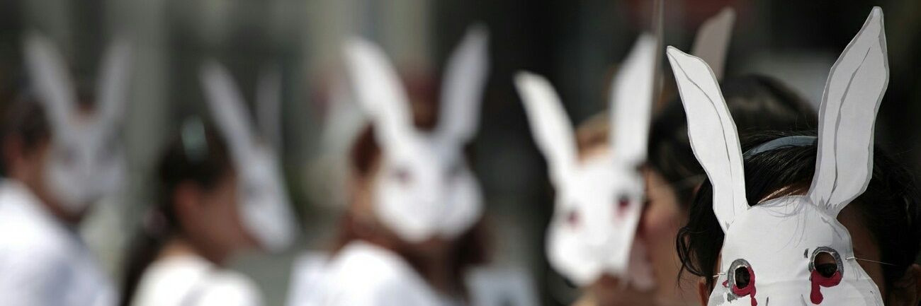 little_ert's profile banner image