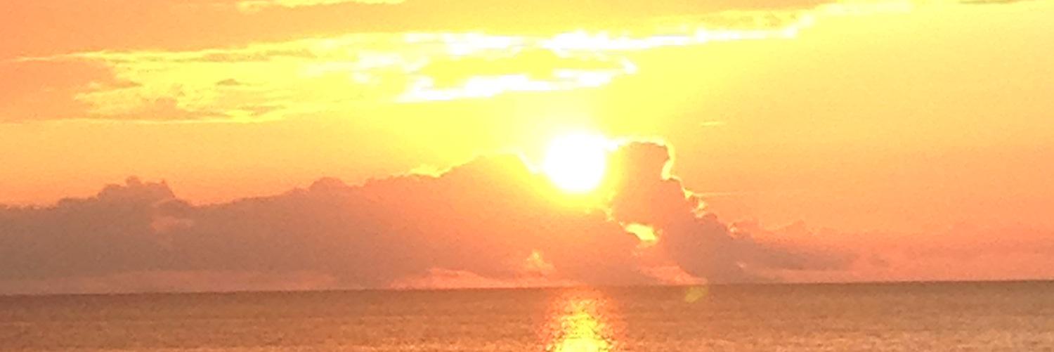 BostonCoop's profile banner image