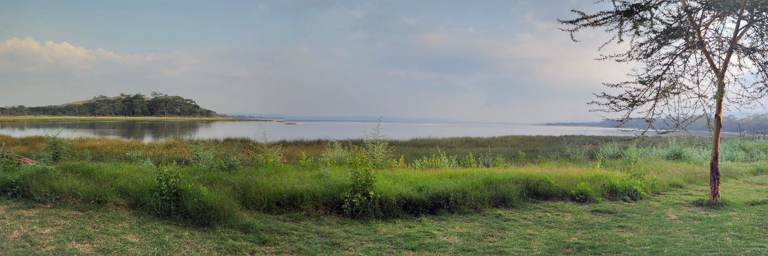 georgeichoho's profile banner image