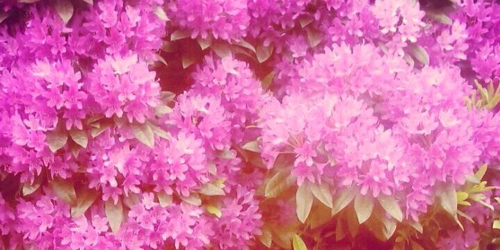 tereveriii's profile banner image