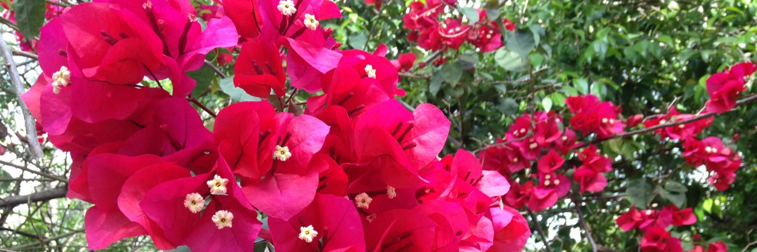 trace715424's profile banner image