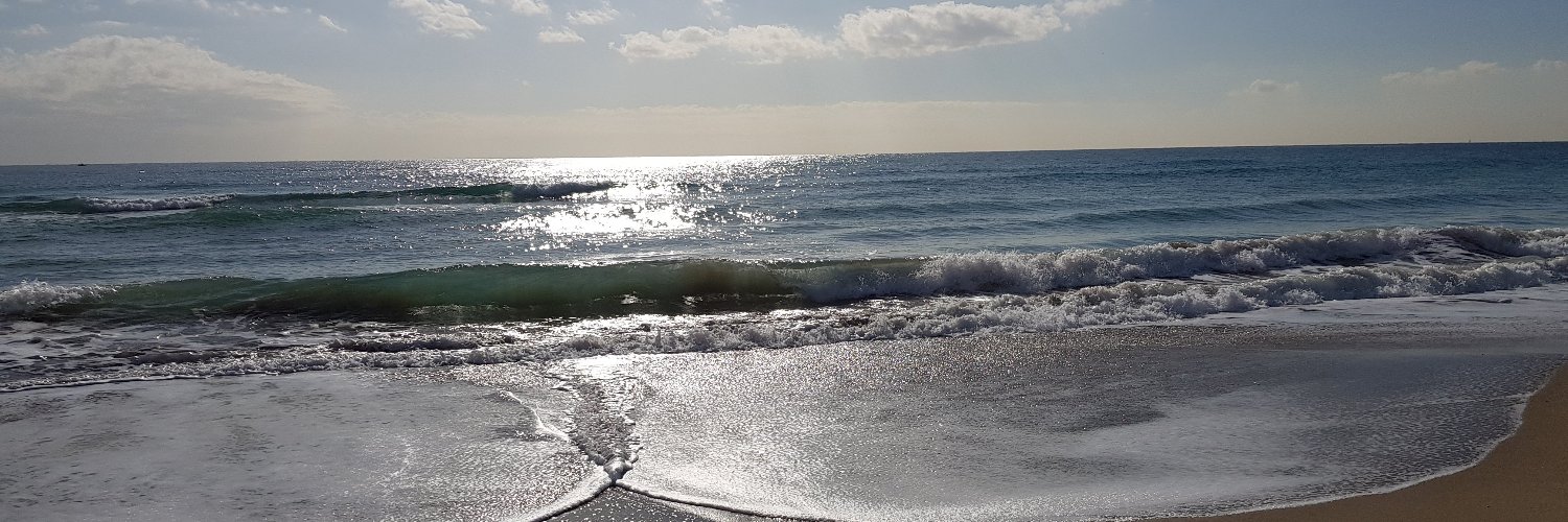 Laura Masgrau banner