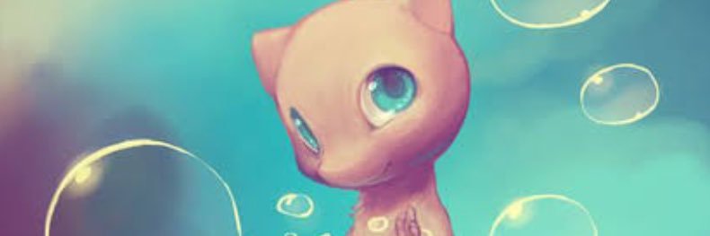 みぃ太郎♀ banner