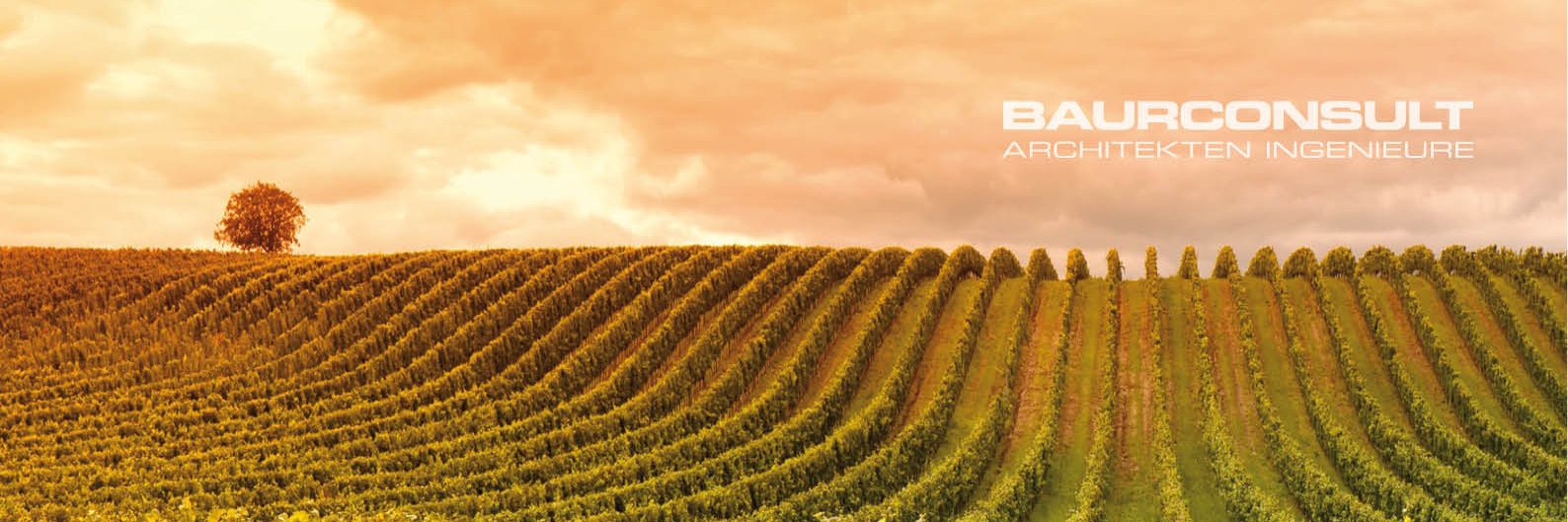 baurconsult's profile banner image