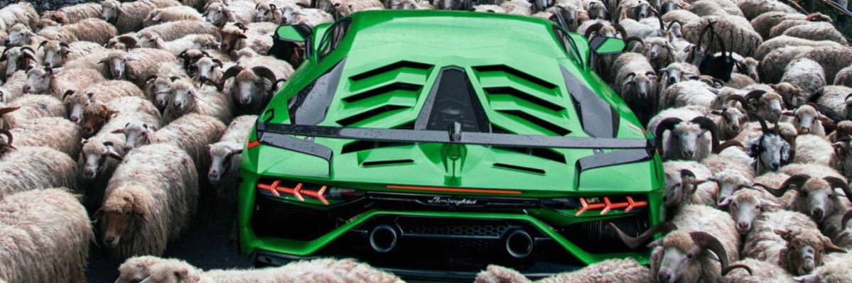 tinhunold's profile banner image