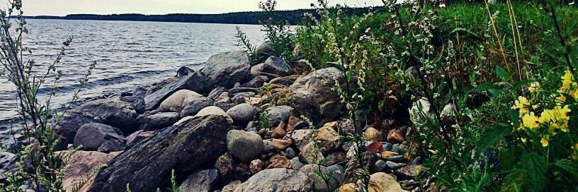 artemevann's profile banner image
