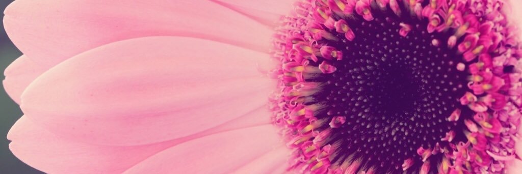Steffiee87's profile banner image