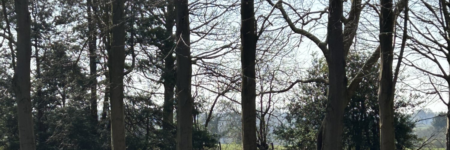Sara Cox's banner