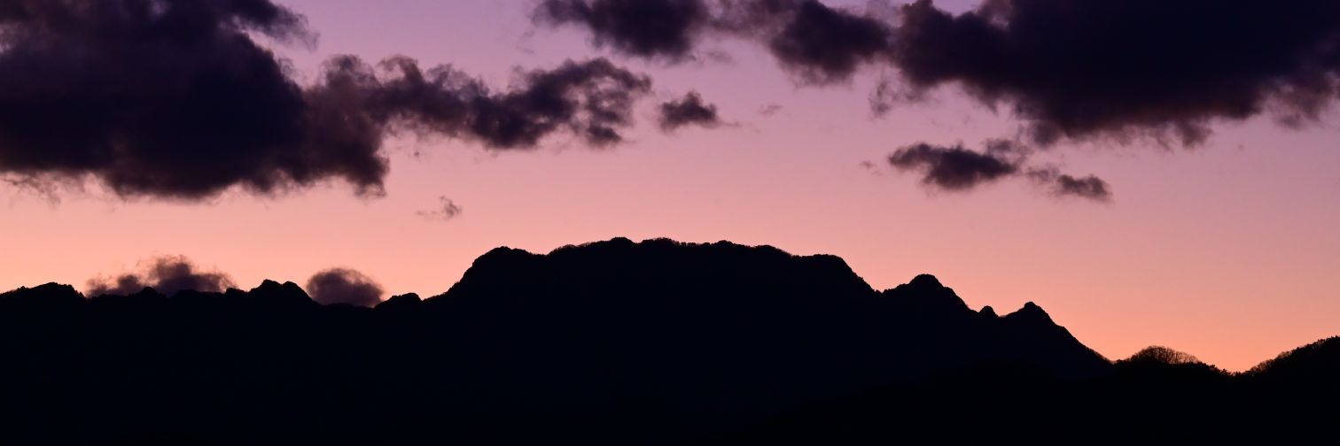 ooshintsuku's profile banner image