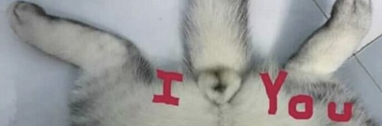 marc_peres1's profile banner image