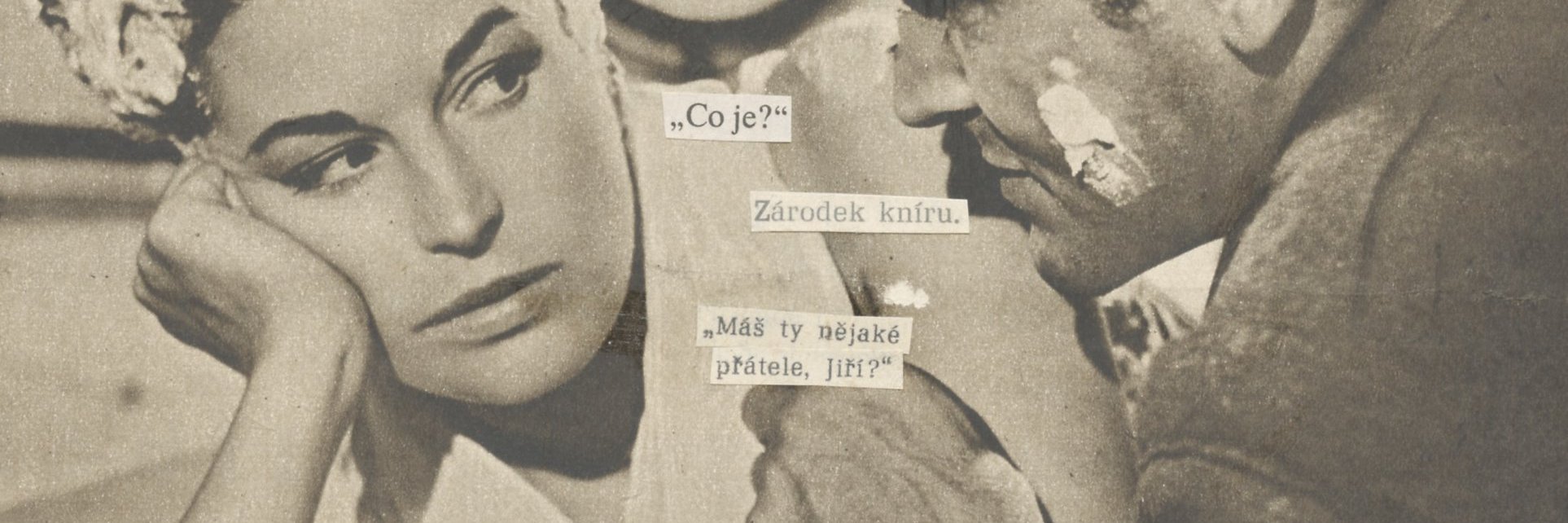 EditaSchejbalov's profile banner image