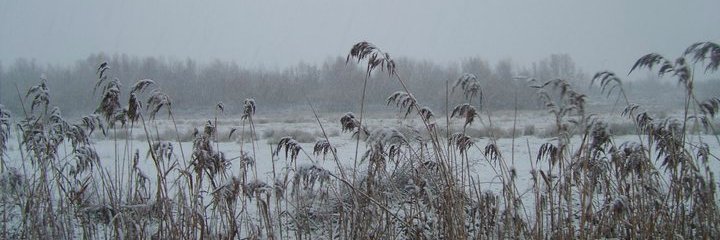 MelanieCrewMusic banner