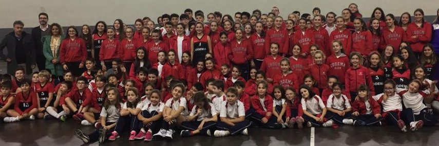 CodemaBaloncesto banner