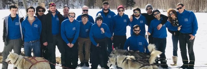 Artik Consulting banner