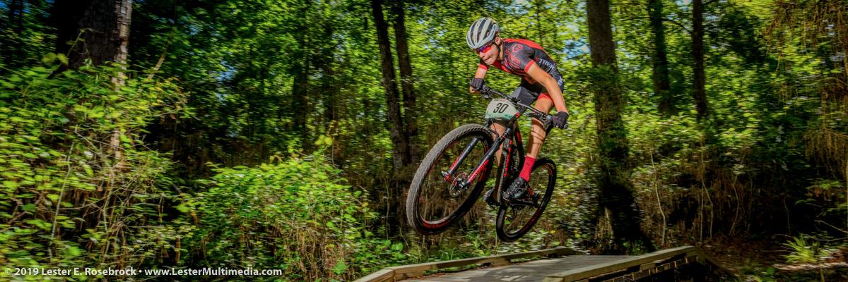 Lester E. Rosebrock banner