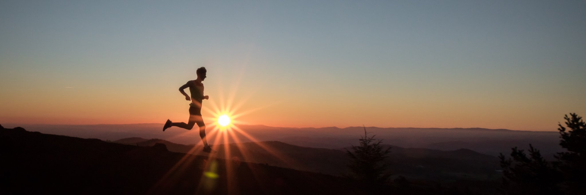 David Gonthier banner