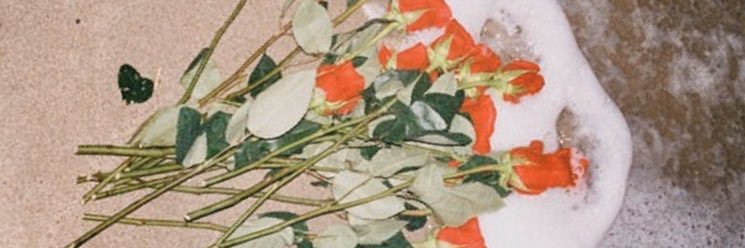 HollyReimer's profile banner image