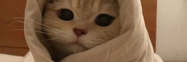 meMohanR's profile banner image