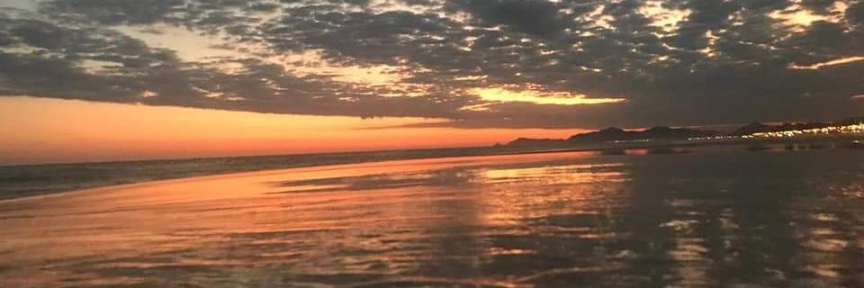 Dn_Vasconcellos's profile banner image
