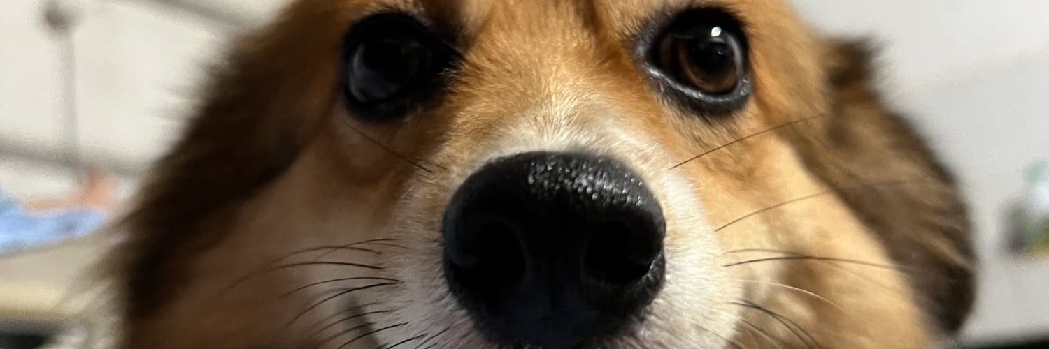 yanndesu's profile banner image