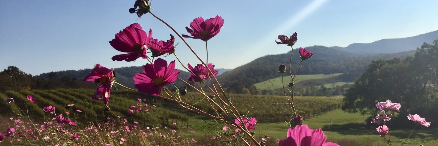 ttswine's profile banner image