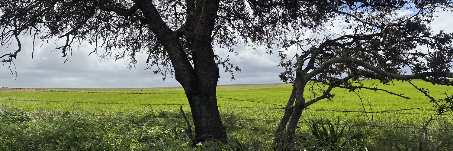 Daniel Sánchez banner