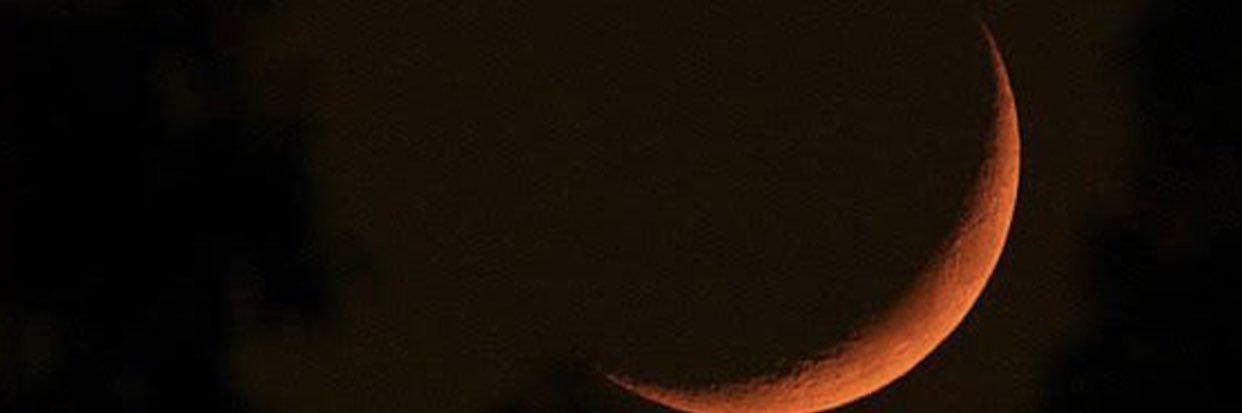 paomonroyyy's profile banner image