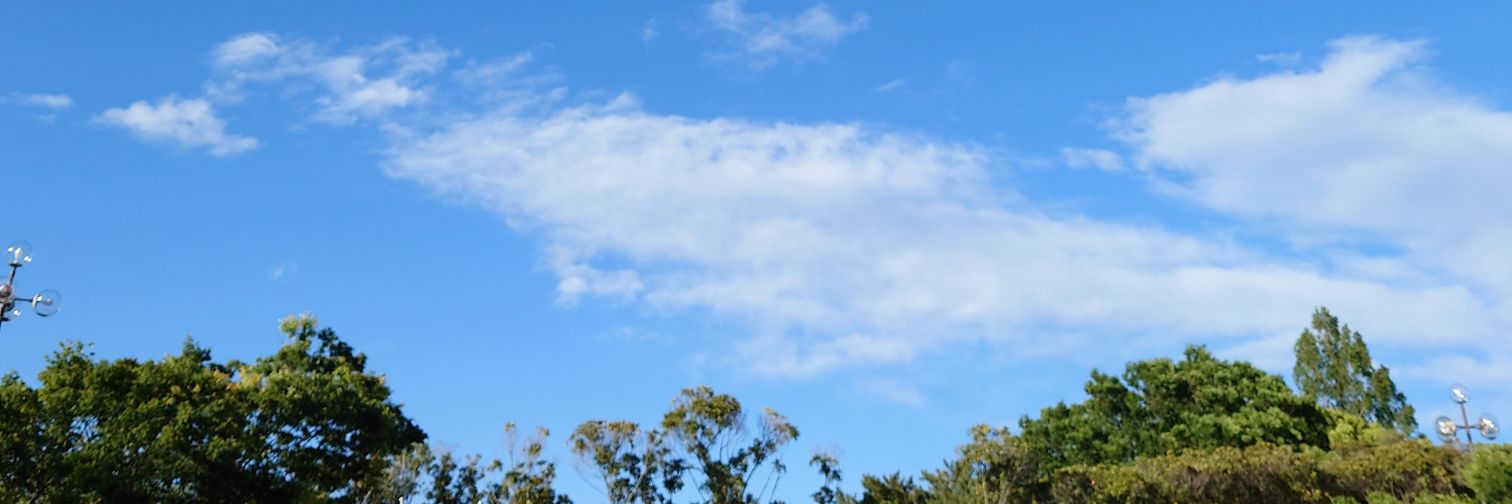 小林 大峰 banner