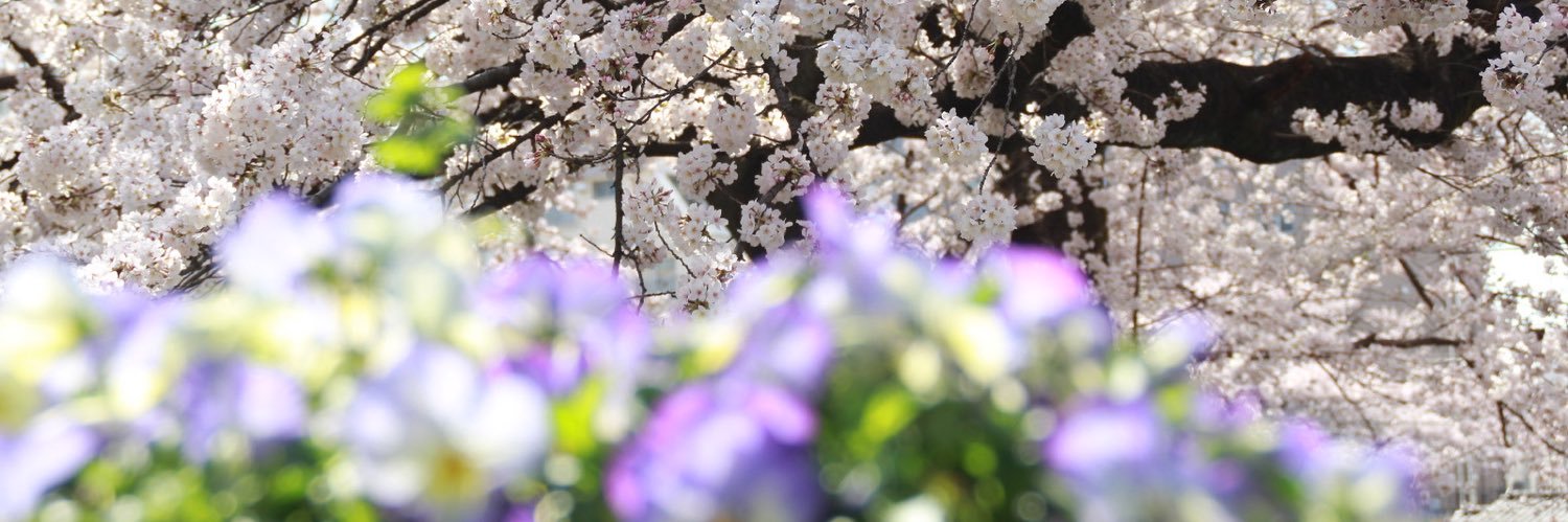 369nagi's profile banner image