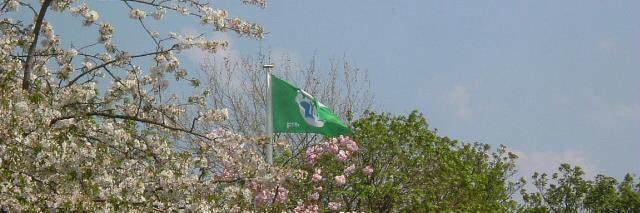 thorntreeprimary banner