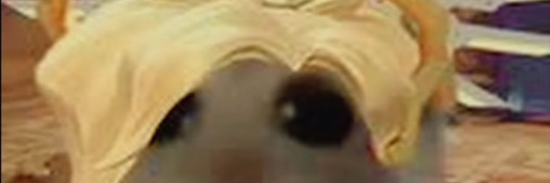 MRequaza's profile banner image