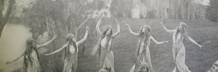 abbeybeebirsch's profile banner image