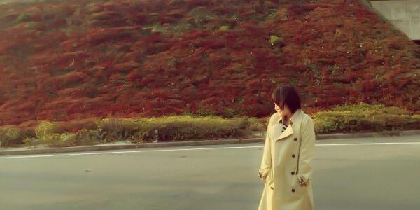 nightcafeeleven's profile banner image
