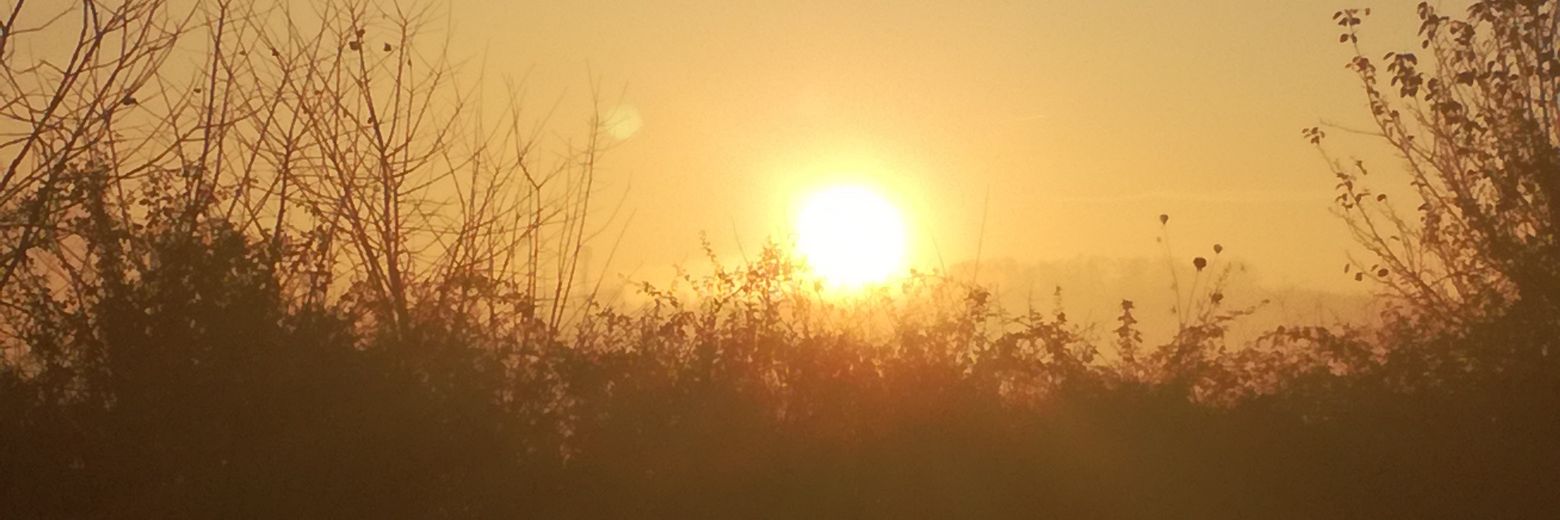 sulecavdar54's profile banner image