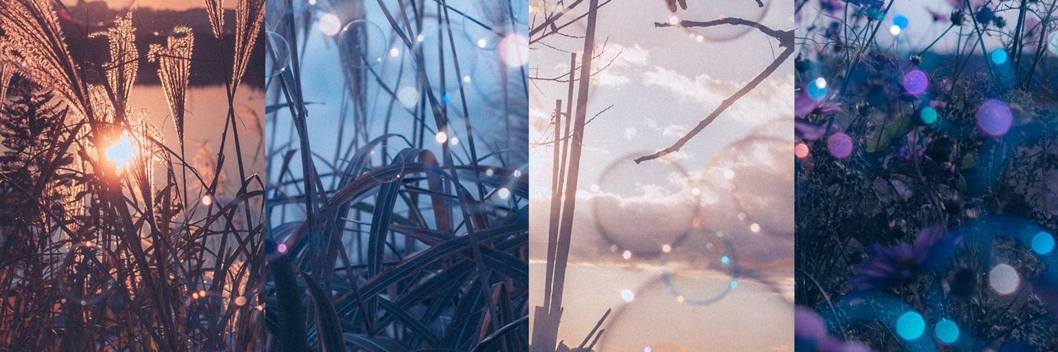 HaticeYk1's profile banner image