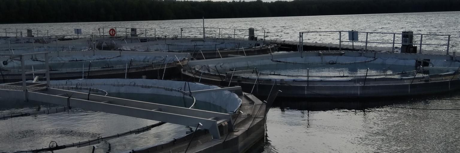 Truls Hansson banner