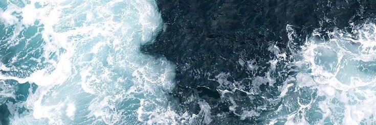 Allisoncalvello's profile banner image