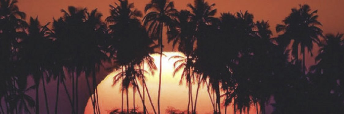 savingtheseals's profile banner image