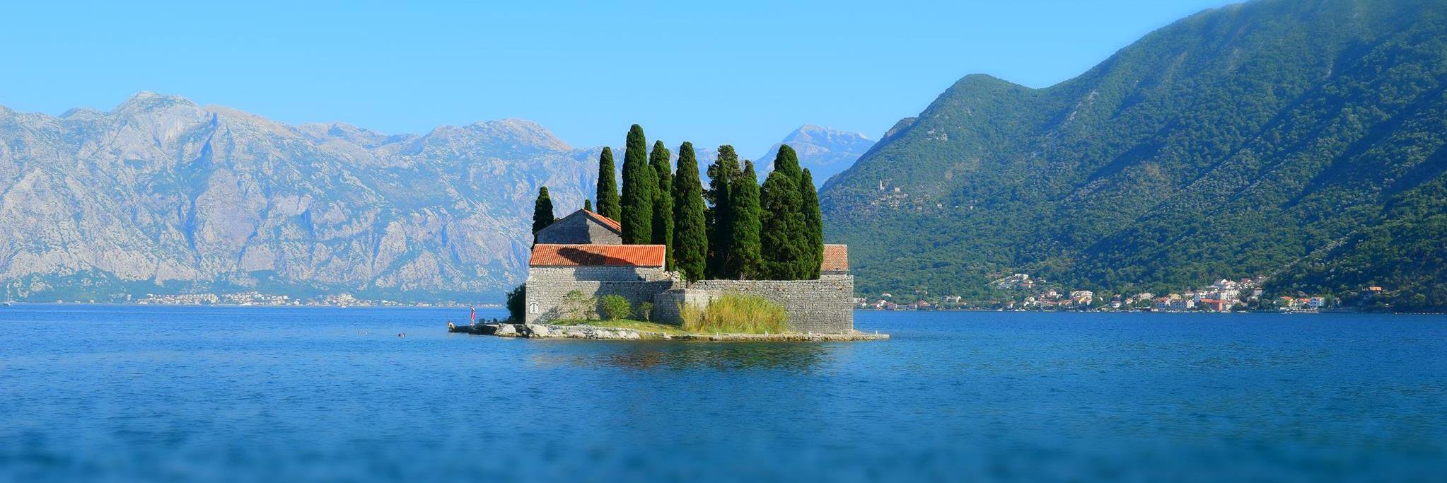 Into the Tribe banner