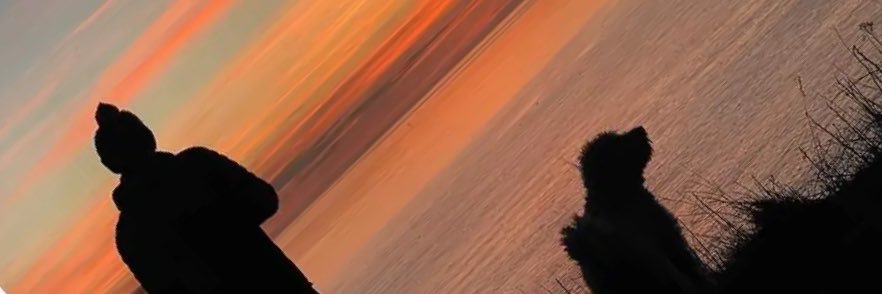 alexjherring's profile banner image