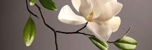 أخبار ومنوعات banner