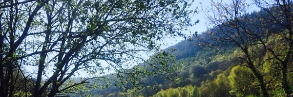 ps_cycles Profile Banner