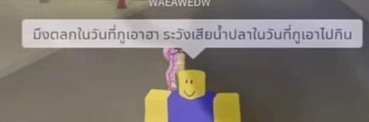 mer banner