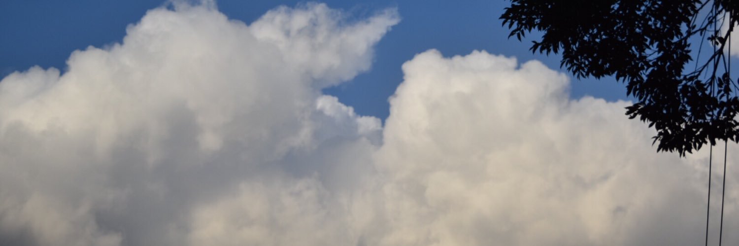 thv1110's profile banner image