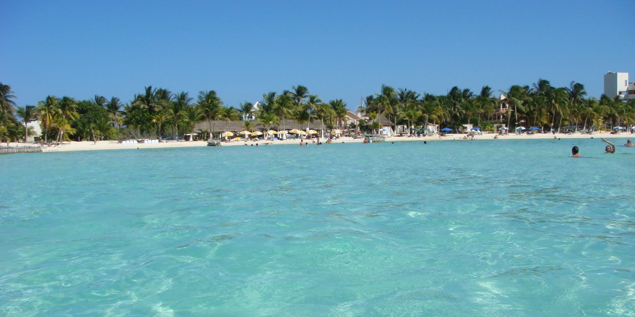 Steve Vienneau banner