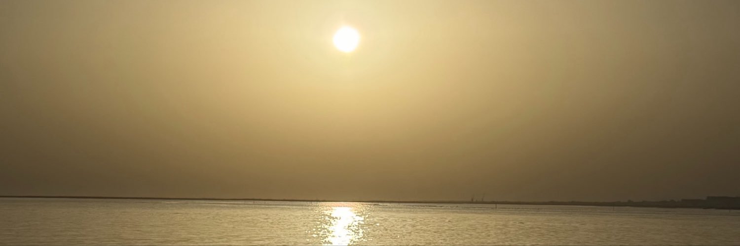 RuiSantoro's profile banner image