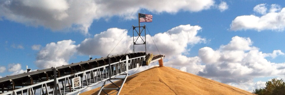 Topflight Grain Cooperative banner