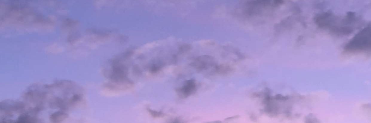 maryidk's profile banner image
