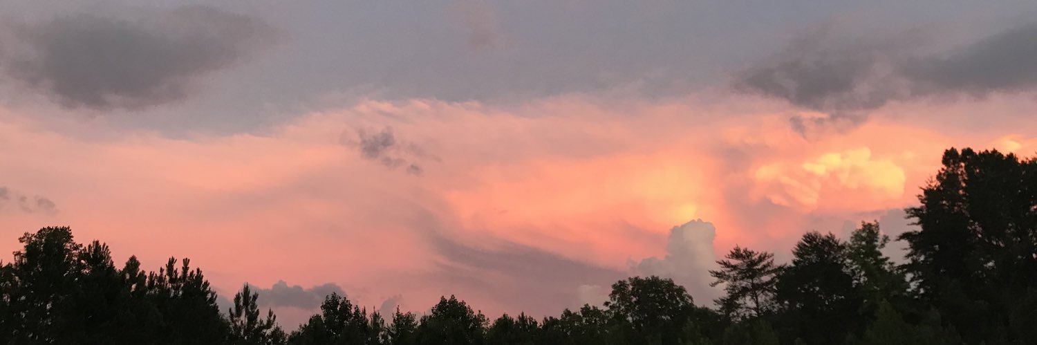 ashlynsjohnson's profile banner image